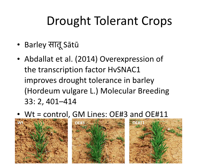 Drought tolerance by overexpression of transcription factor