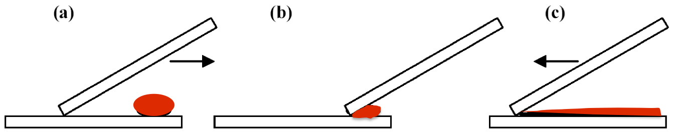 Smearing the blood droplet- a schematic view